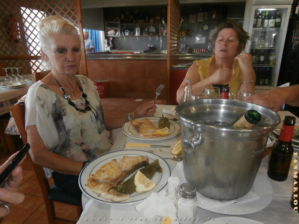 2015 06 06 et 07  APNA A DALIAS ALMERIA  (271).JPG